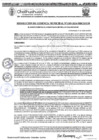 Vista preliminar de documento RGM 1309-2024