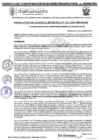 Vista preliminar de documento RGM 1311-2024