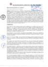 Vista preliminar de documento ra_336-11-2024