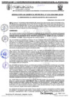 Vista preliminar de documento RGM 1324-2024