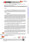 Vista preliminar de documento RDE270