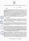 Vista preliminar de documento Resolucion 333