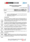 Vista preliminar de documento N° 076-2024-PE/OSIPTEL