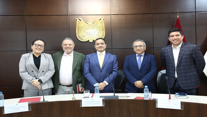 Tercer conversatorio sobre los veinte años de codificación procesal constitucional en el Perú realizó el CEC del TC
