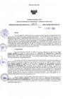 Vista preliminar de documento RDR N° 521-2024-10-10-2024