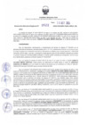 Vista preliminar de documento RDR N° 522-2024-10-10-2024