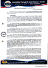 Vista preliminar de documento RA N° 101