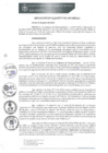 Vista preliminar de documento 0095-2024-MPHy-Cz