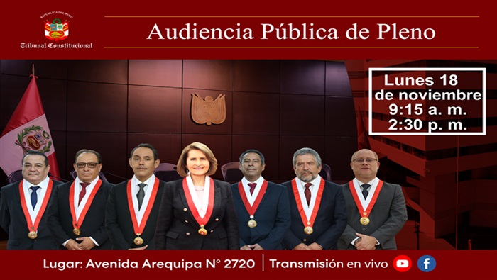 En nueva audiencia pública el pleno del TC sesionará el próximo lunes 18 de noviembre y verá 20 causas