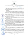 Vista preliminar de documento RES-666-2024-GRDS