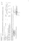 Vista preliminar de documento CMN-106