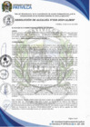 Vista preliminar de documento R.A N°026-2024