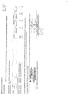Vista preliminar de documento cmn-120