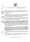 Vista preliminar de documento rd185