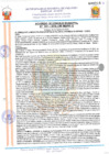 Vista preliminar de documento 18031