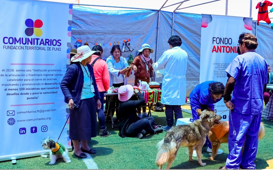 Perritos rescatados y callejeros protagonizan pasarela canina con prendas tejidas por artesanas puneñas