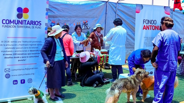 Perritos rescatados y callejeros protagonizan pasarela canina con prendas tejidas por artesanas puneñas