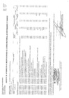Vista preliminar de documento CMN-123