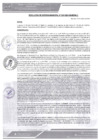 Vista preliminar de documento rgm-347