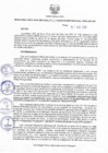 Vista preliminar de documento Resolucion 335
