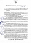 Vista preliminar de documento Resolucion 336