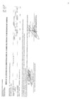 Vista preliminar de documento CMN-148-CNQ
