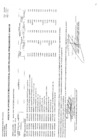 Vista preliminar de documento CMN155