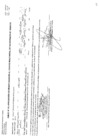 Vista preliminar de documento CMN-176