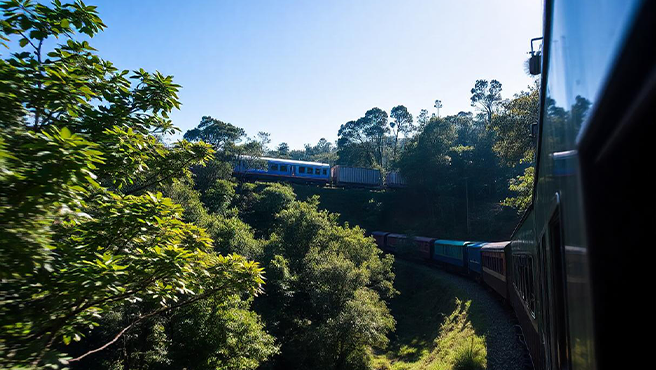 Tren unirá Pucallpa con el puerto de Chancay