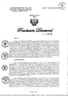 Vista preliminar de documento RD N°1099-2024-DG-DIRIS-LC