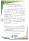 Vista preliminar de documento Resolución de Alcaldía