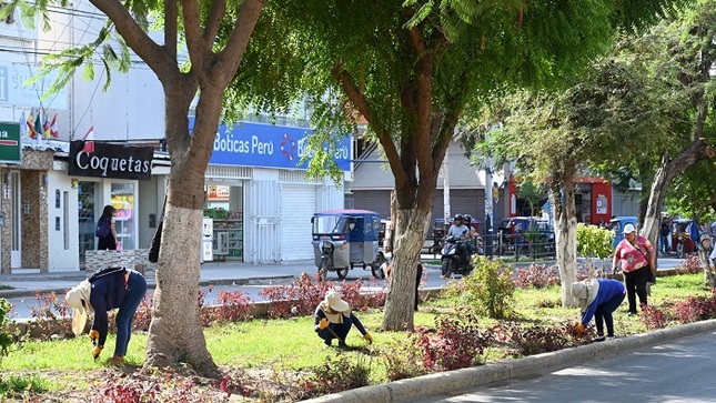 áreas verdes