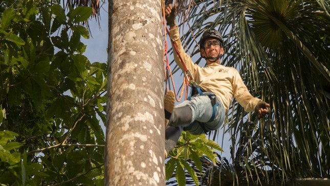 Impactante II Concurso de Escaladores de Aguaje cautivó a Loreto en la Reserva Nacional Allpahuayo Mishana