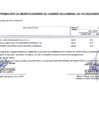 Vista preliminar de documento MODIFICACION176-2024-CMN