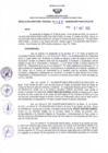 Vista preliminar de documento RDR N° 557-2024-31-10-2024