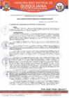 Vista preliminar de documento RGM-399-2024