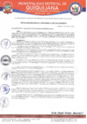 Vista preliminar de documento RGM-409-2024