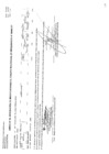 Vista preliminar de documento CMN-187