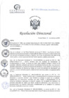 Vista preliminar de documento RD N°355-10-2024-DE-HCLLH-MINSA