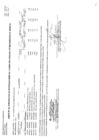 Vista preliminar de documento CMN-197