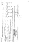 Vista preliminar de documento cmn-200