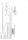 Vista preliminar de documento cmn-202