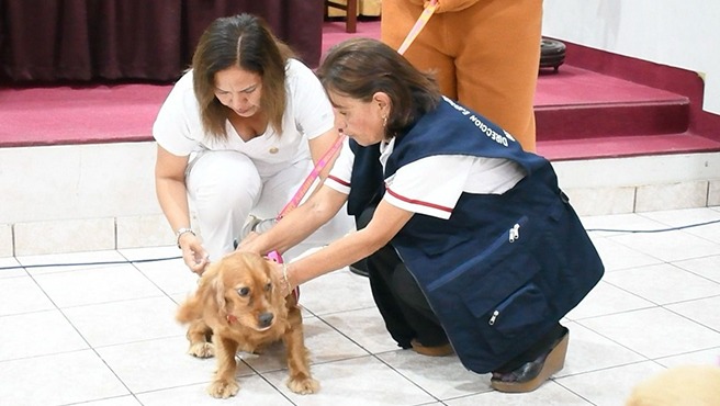 Lambayeque: Minsa vacunará contra la rabia a 90 000 perros