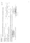 Vista preliminar de documento CMN-215