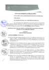 Vista preliminar de documento 0008-2015-MPHy