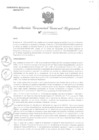 Vista preliminar de documento RGGR 573-2024