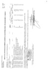 Vista preliminar de documento CMN-220