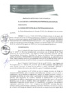 Vista preliminar de documento 0009-2019-MPHy