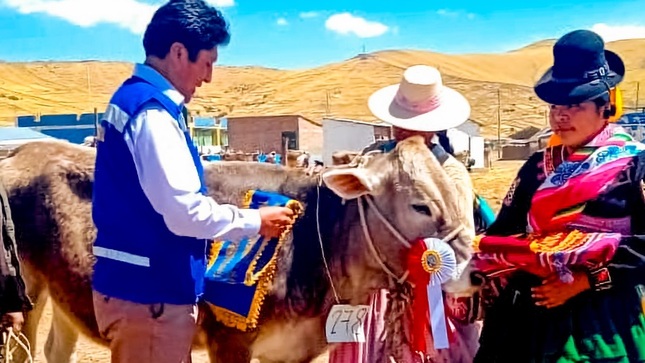 Municipalidad Provincial de Puno participa en la xii expoferia ganadera, artesanal y de platos típicos Huarijuyo 2024
