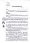 Vista preliminar de documento R.D 202-24-DG